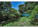 The backyard features lush tropical plants and a light blue fence which provides both beauty and seclusion at 2459 Parkstream Ave, Clearwater, FL 33759