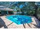 The screened-in pool features a spacious area with a beautiful tile roof and lush landscaping for privacy at 2459 Parkstream Ave, Clearwater, FL 33759