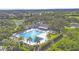 Aerial shot of a pristine community pool surrounded by palm trees, lounge chairs, and verdant landscaping at 2518 Dick Wilson Dr, Sarasota, FL 34240
