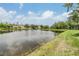 Scenic view of the pond, lined with trees and well manicured lawns at 27427 Mistflower Dr, Wesley Chapel, FL 33544