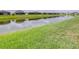 Scenic view of the pond and grassy surroundings, creating a tranquil and picturesque setting at 30762 Parrot Reef Ct, Wesley Chapel, FL 33545