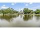The beautiful lake offers a serene view, enhanced by the natural surrounding and lush green trees at 4513 S Oak Dr # Q21, Tampa, FL 33611