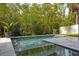 Private in-ground pool with blue tile and lush landscaping creates a backyard oasis at 4806 W Euclid Ave, Tampa, FL 33629