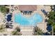 Aerial view of a community pool with lounge chairs and palm trees at 6113 Yeats Manor Dr, Tampa, FL 33616