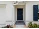A welcoming front door with dark wood finish, set against a light exterior and colorful landscaping at 10452 Elgin Blvd, Spring Hill, FL 34608