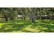 Expansive community green space surrounded by mature trees and lush landscaping provides serene views at 11511 113Th St # 4F, Seminole, FL 33778