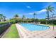 Beautiful community pool surrounded by lush landscaping, palm trees, and comfortable lounge chairs at 1411 Tessano Pl, Palm Harbor, FL 34683
