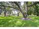 Expansive front yard featuring mature trees and green grass with other houses in background at 1655 S Highland Ave # B118, Clearwater, FL 33756
