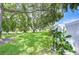Well-maintained front yard with lush green grass and mature trees providing shade at 1655 S Highland Ave # B118, Clearwater, FL 33756