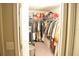 Organized walk-in closet with ample storage space for clothing and accessories at 16623 Carlton Pond St, Wimauma, FL 33598