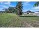 Wide backyard view with tall pine tree, fenced perimeter, and sunny blue skies at 2419 Wishing Well Way, Tampa, FL 33619