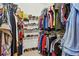 Walk-in closet featuring ample storage racks, shelving, shoes, and clothing rods at 3484 Primrose Way, Palm Harbor, FL 34683
