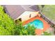 An above view captures the backyard pool bordered by trees and fencing at 4744 Burlington Rd, Land O Lakes, FL 34639