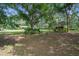 A sprawling green backyard with mature trees, providing shade and privacy at 8248 Irene St, Zephyrhills, FL 33540