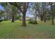 Expansive green backyard with mature trees and lush landscaping, providing a private retreat at 8248 Irene St, Zephyrhills, FL 33540