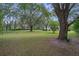 A large backyard filled with lush green grass and mature trees, offering ample space at 8248 Irene St, Zephyrhills, FL 33540