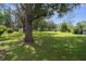 An expansive backyard featuring mature trees, lush grass, and ample space at 8248 Irene St, Zephyrhills, FL 33540