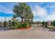 The gated entrance with mature landscaping and a large palm tree provides privacy and curb appeal at 9140 Hillcroft Dr, Riverview, FL 33578