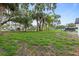 Generous backyard with a mix of mature trees, open lawn space, offering privacy and potential for landscaping at 9511 N Hyaleah Rd, Tampa, FL 33617