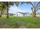 Spacious backyard with a large grassy area, mature trees providing shade, and ample space for relaxation and recreation at 9511 N Hyaleah Rd, Tampa, FL 33617
