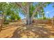 Large backyard with mature tree providing ample shade, complemented by a secure wood fence at 10599 111Th N Ave, Largo, FL 33773