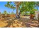 Expansive backyard featuring mature trees, fenced perimeter, and a brick pathway, perfect for outdoor enjoyment at 10599 111Th N Ave, Largo, FL 33773