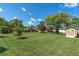 Spacious backyard with lush lawn, mature trees, shed, and potential for various outdoor activities and landscaping at 10611 131St St, Largo, FL 33774