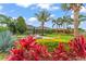 Beautiful landscaped backyard with fire pit, palm trees, manicured shrubs, and lush lawn at 11603 Heron Watch Pl, Riverview, FL 33569