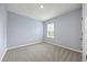 Comfortable bedroom with soft carpeting, a window, and light blue accent wall at 1680 Hazy Sea Dr, Plant City, FL 33565