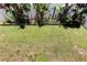 Aerial shot of a lush, well-maintained backyard with a white fence and tropical trees creating a serene environment at 1858 Michigan Ne Ave, St Petersburg, FL 33703