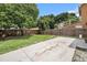 A spacious backyard with a concrete patio, privacy fence, and shade trees at 1902 N Tampania Ave, Tampa, FL 33607