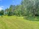 Large, lush backyard with mature trees, perfect for outdoor activities at 1958 Marshberry Ct, Trinity, FL 34655