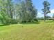 Lush backyard with mature trees, offering serene privacy and ample space at 1958 Marshberry Ct, Trinity, FL 34655