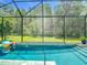 A clear in-ground pool with a screened enclosure offers a view of green yard at 1958 Marshberry Ct, Trinity, FL 34655