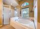 Lovely bathroom featuring a soaking tub, walk-in shower, and decorative details at 4315 Whittner Dr, Land O Lakes, FL 34639