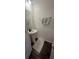 Modern half bathroom with a pedestal sink, stylish mirror, and convenient towel rack at 4743 Deer Track St, Tampa, FL 33610