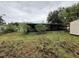 View of the overgrown backyard featuring a screened in porch at 4920 S 82Nd St, Tampa, FL 33619