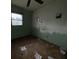 Bedroom with a window, ceiling fan, carpeted floor, and painted walls at 4920 S 82Nd St, Tampa, FL 33619
