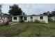 Single-story home with a light green exterior and overgrown front yard at 4920 S 82Nd St, Tampa, FL 33619