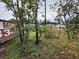 View of the overgrown yard featuring various small trees and a partial view of a sign at 4920 S 82Nd St, Tampa, FL 33619