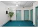 Clean, brightly lit hallway with blue carpet and neutral walls, leading to apartment entrances at 701 Mirror Lake N Dr # 103, St Petersburg, FL 33701