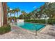 Inviting outdoor swimming pool area surrounded by lush greenery, palm trees under clear blue sky at 701 Mirror Lake N Dr # 103, St Petersburg, FL 33701