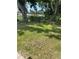 Spacious back yard with chain link fence and mature trees providing ample shade and privacy at 7021 Parliament Dr, Tampa, FL 33619