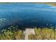 Scenic lake view featuring a wooden dock surrounded by reeds and aquatic plants at 8752 Loft Pt, Wesley Chapel, FL 33545