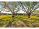 Lush backyard featuring two large trees, manicured lawn, and lake access with a dock at 9011 Baywood Park Dr, Seminole, FL 33777