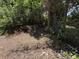 Backyard view with ground debris, overgrown bushes and an old fence at 902 Marshall St, Clearwater, FL 33755