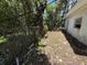 Fenced yard with overgrown trees and foliage; peeling paint on home at 902 Marshall St, Clearwater, FL 33755