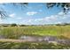 Backyard view of the pond surrounded by cattails in the community at 10435 Deerberry Dr, Land O Lakes, FL 34638