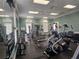 Well-equipped gym with various exercise machines, weights, and large mirrors for a complete fitness experience at 11078 Heathrow Ave, Spring Hill, FL 34609