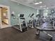 Community gym with treadmills, ellipticals, and weight machines at 11078 Heathrow Ave, Spring Hill, FL 34609